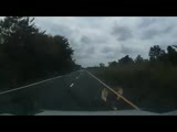Accident on a highway of thailand