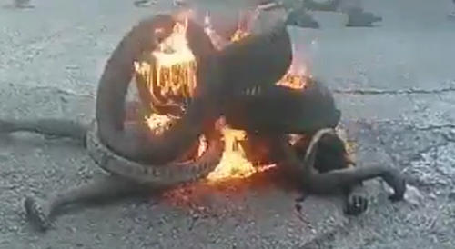 Haitian BBQ