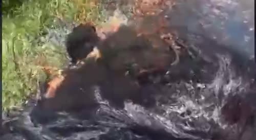 Gang Member Burnt On Tires Un Haiti