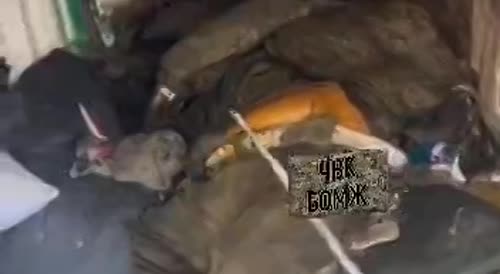 Bloated and decomposing corpse found in a dugout