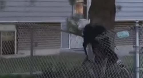 Nasty Roof Jump