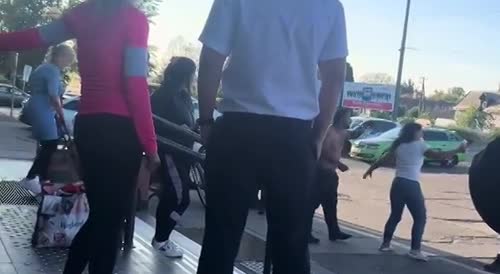 Gypsies ko'd by Hungarian chad