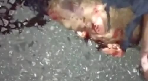 Hit-And-Run Victim Gets Mowed By Truck