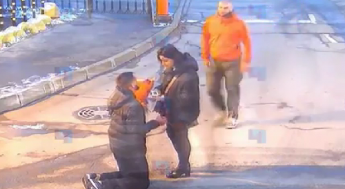 Wild Fight Over A Girl