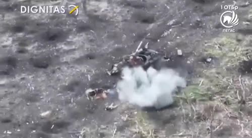 Another communist gets stung by FPV bee