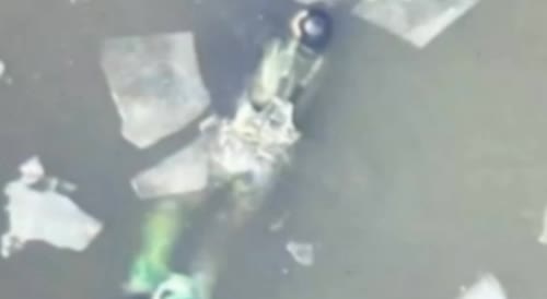 A mammoth from the APU on an ice floe tried to escape from the icy water, but the drone prevented him