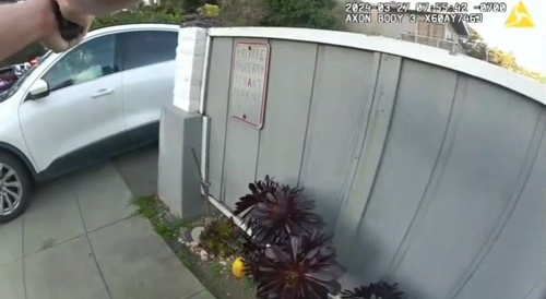 Critical Incident Report Of Police Shooting Of 50-Year-Old Woman In Cali.