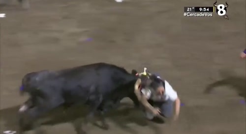 The angry bull game