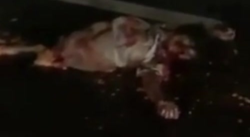 Dead girl found on road