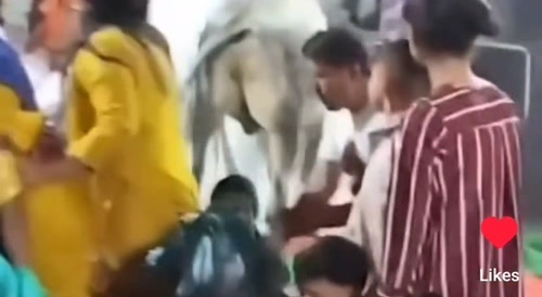 HinduBulls