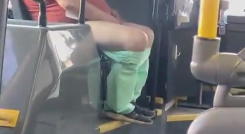 A High IQ masturbates on public transit