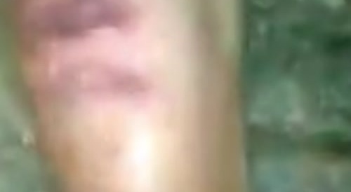 Funny video of a pedo being tortured