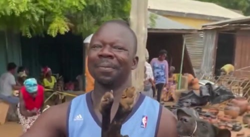Happy Haitian Grocery Shops